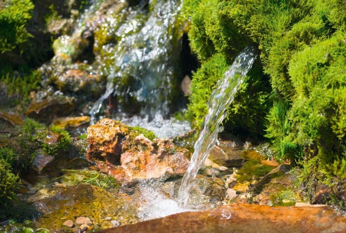 Varovanje okolja in ohranjanje naravnih virov | Gostinstvo / Spa / Šport / Varovanje zdravja